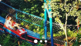 изображение услуги